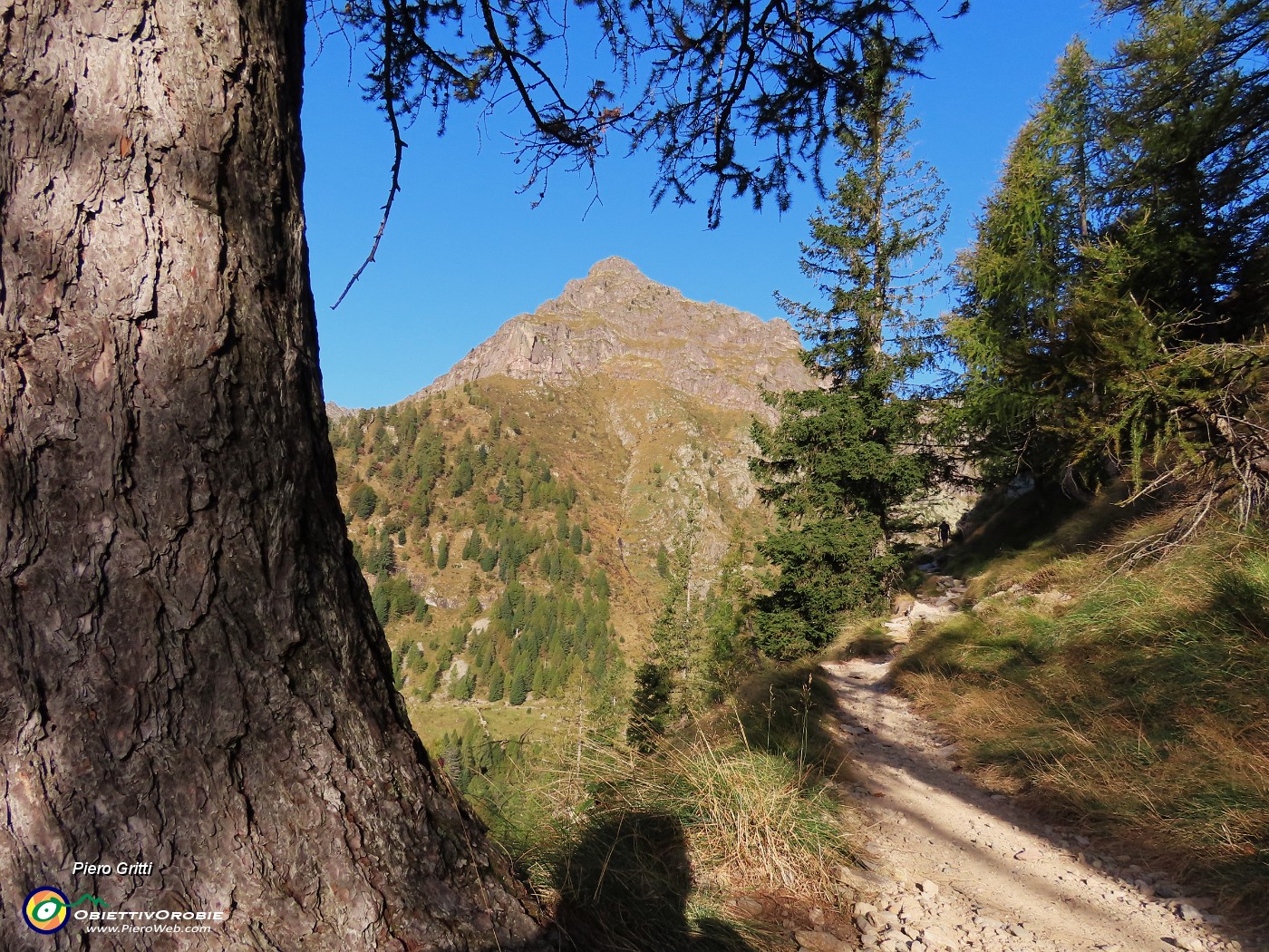 04 Sul sent. 108 con vista sul Pizzo di Giacomo (2184 m) .JPG